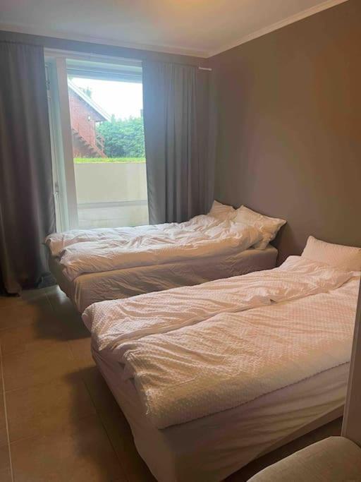 Fin Leilighet I Rolig Omrade I Trondheim Apartment Hoiset Екстериор снимка